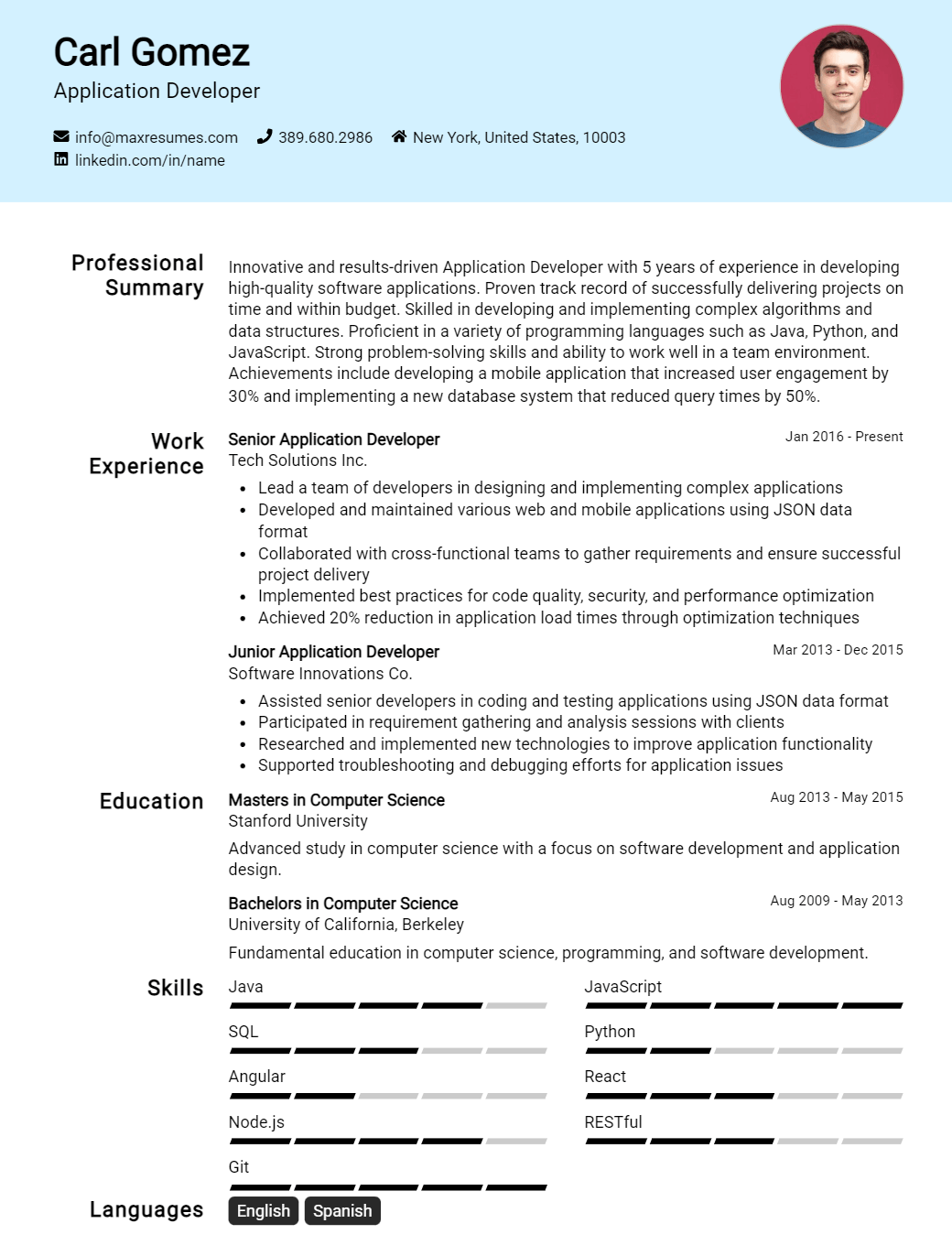 application-developer-resume-sample