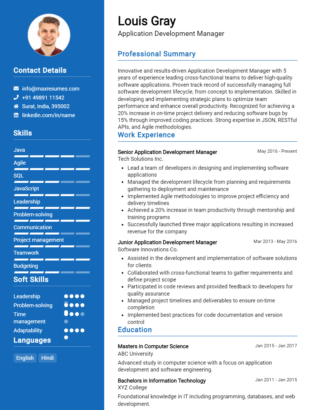 application-development-manager-resume-sample