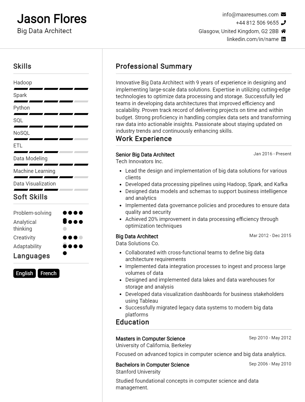 big-data-architect-resume-sample