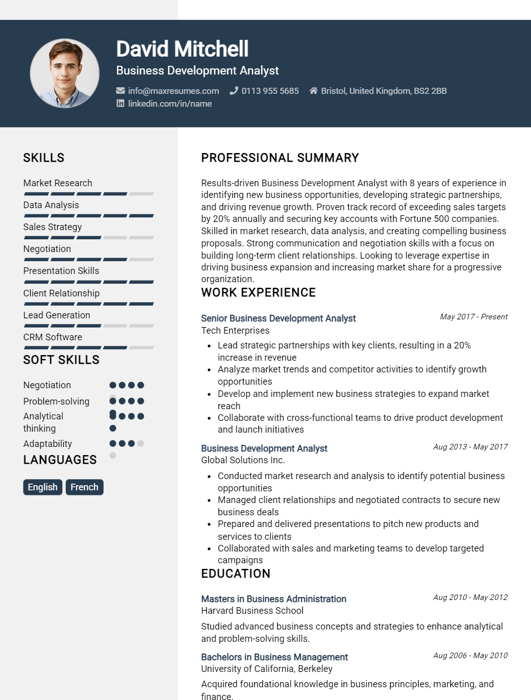 business-development-analyst-resume-sample