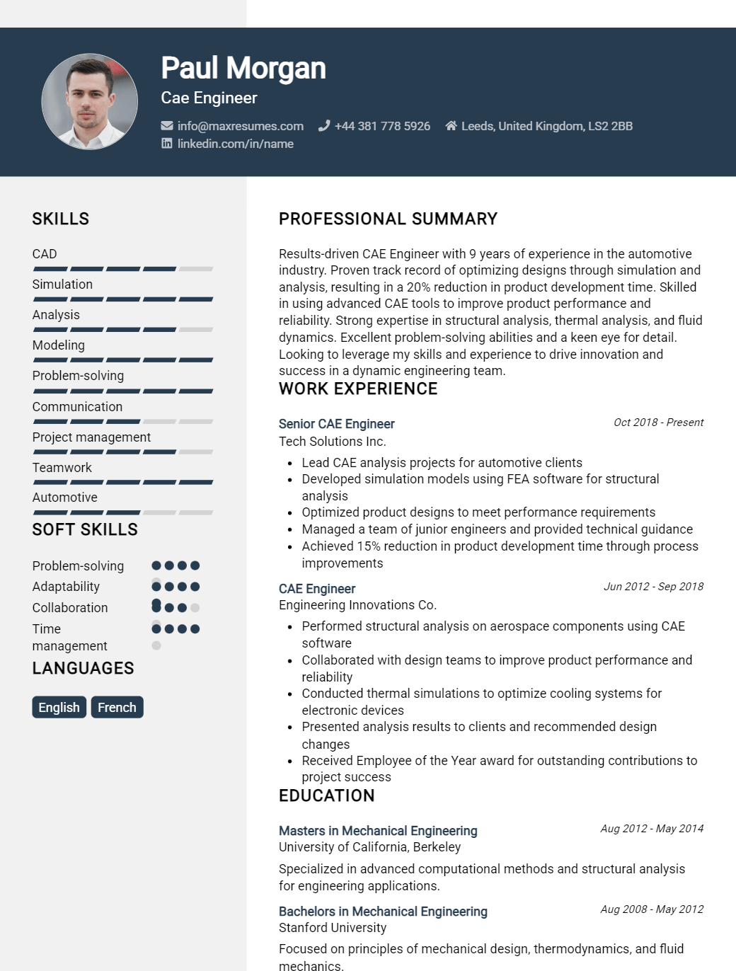 cae-engineer-resume-sample