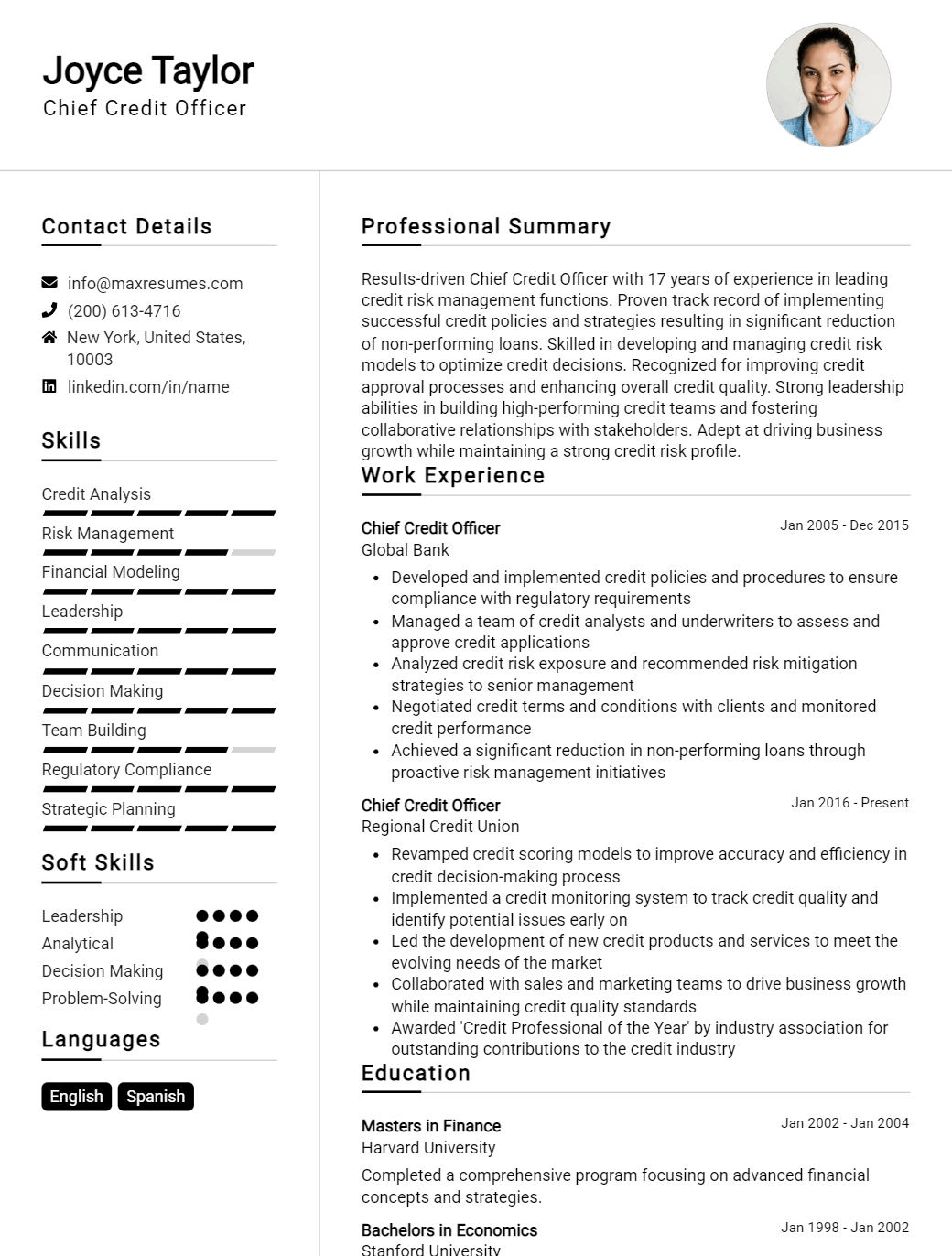 chief-credit-officer-resume-sample