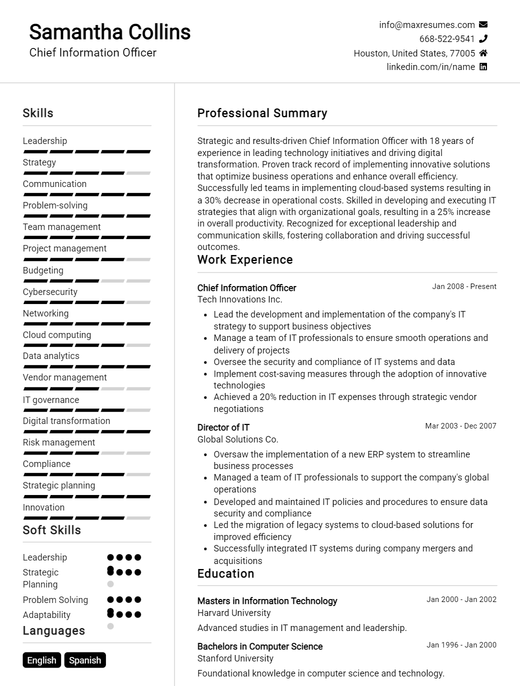 chief-information-officer-resume-sample