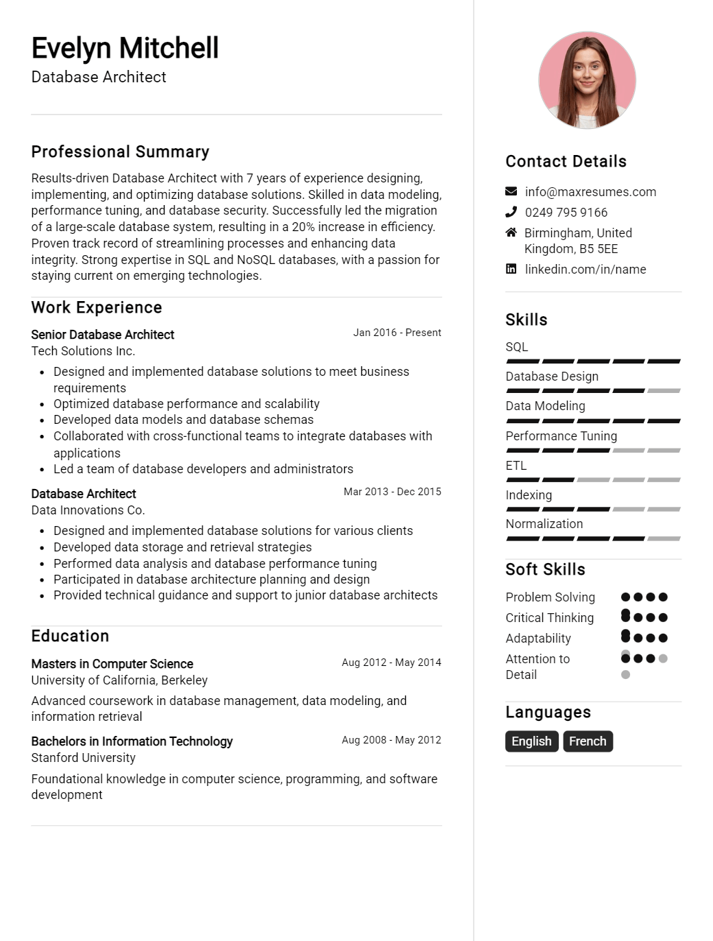 database-architect-resume-sample