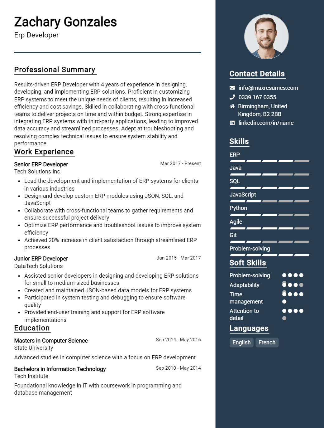 erp-developer-resume-sample