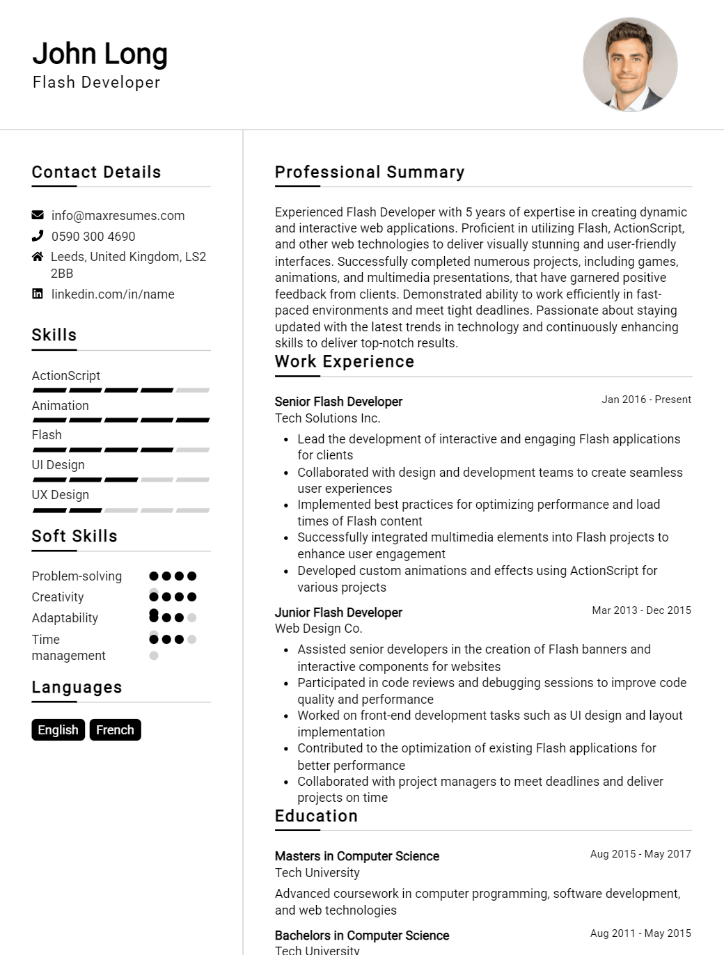 flash-developer-resume-sample