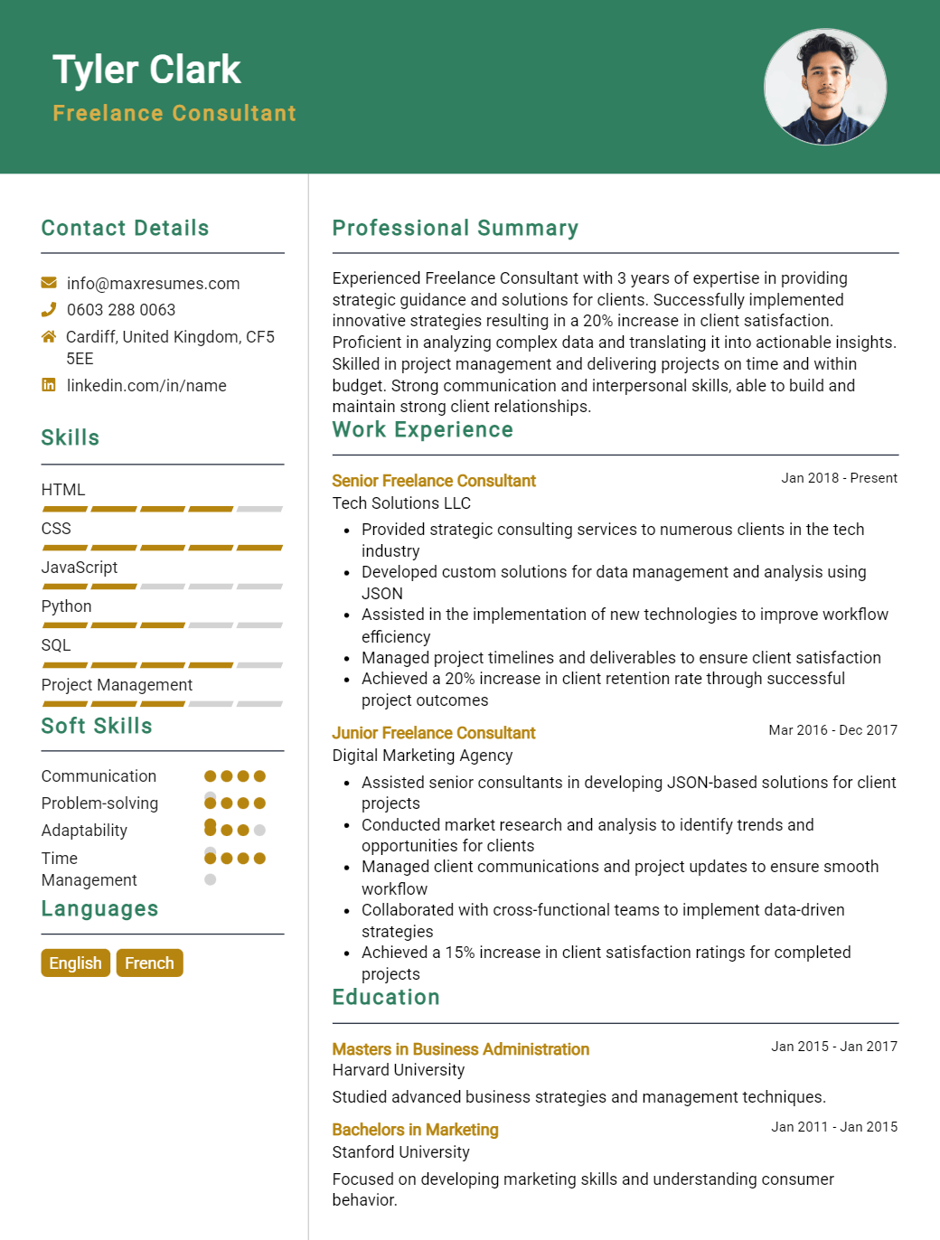 freelance-consultant-resume-sample