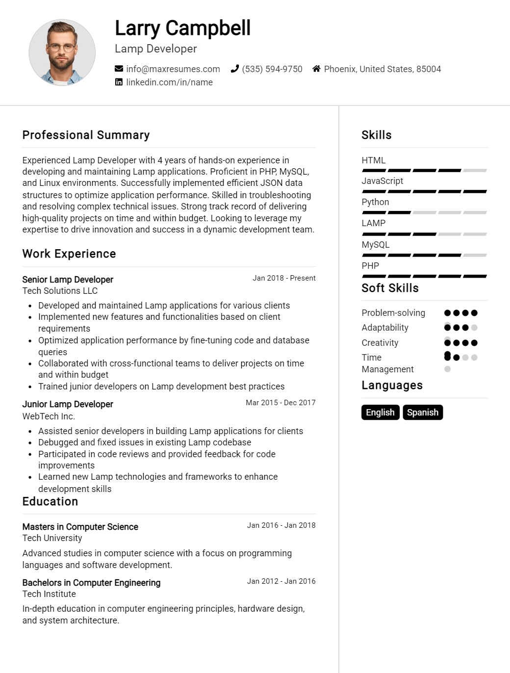 lamp-developer-resume-sample