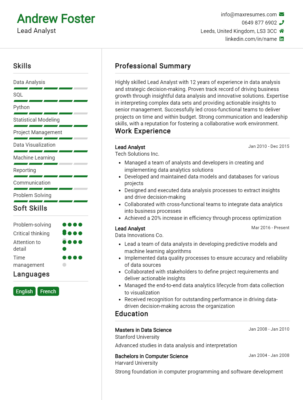 lead-analyst-resume-sample