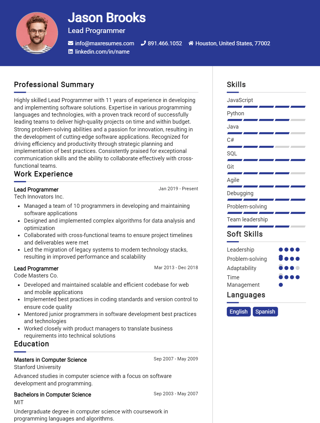 lead-programmer-resume-sample