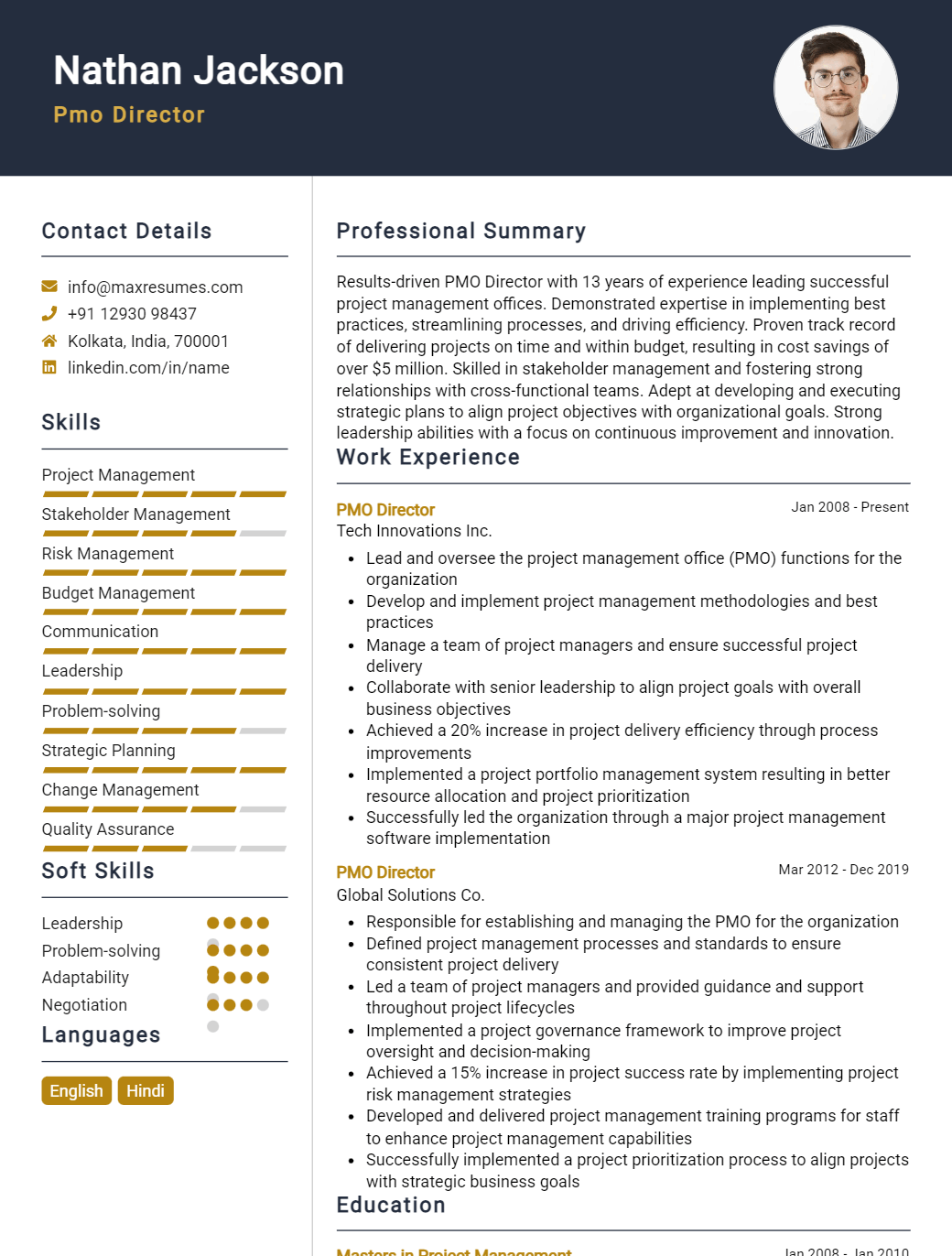 pmo-director-resume-sample