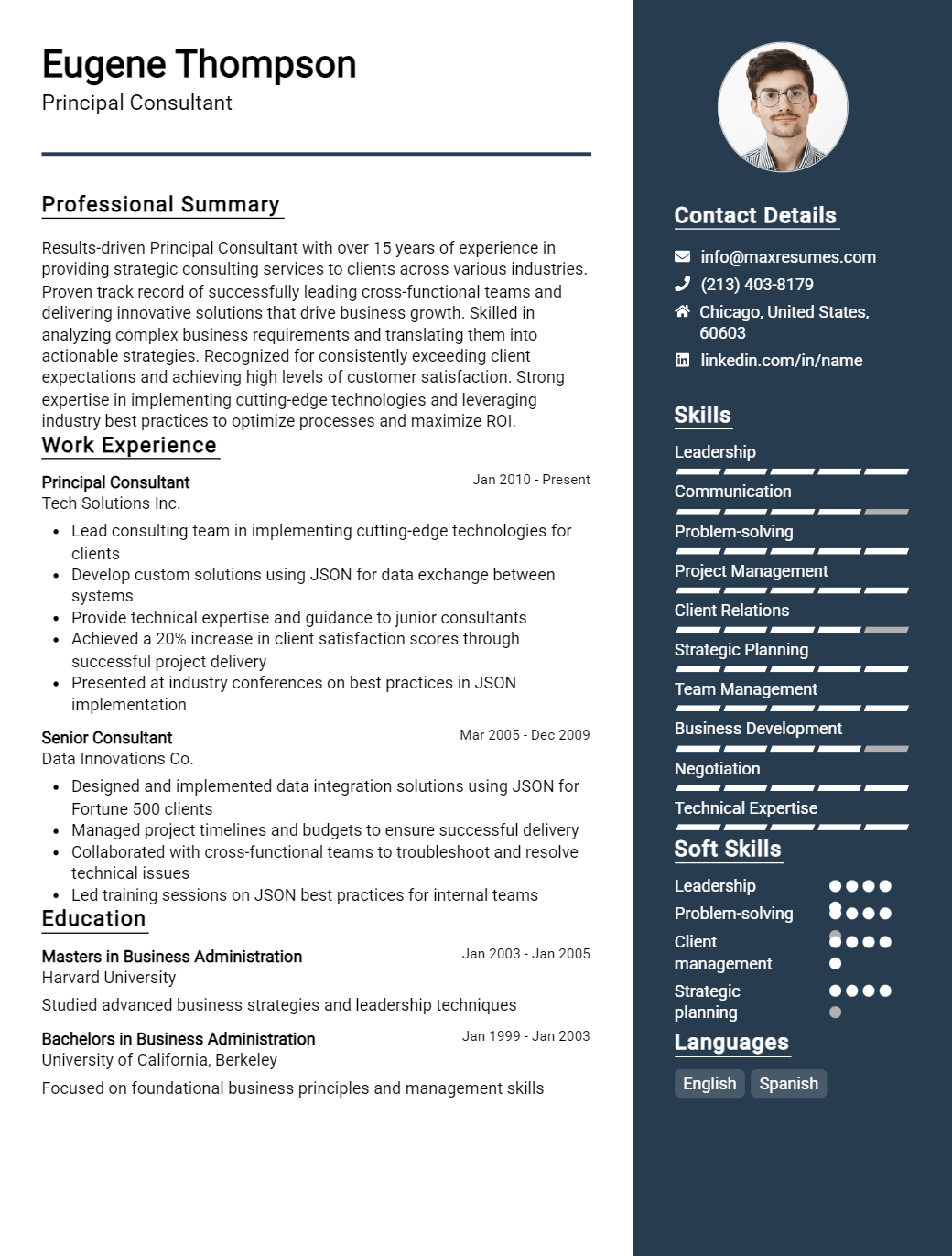 principal-consultant-resume-sample