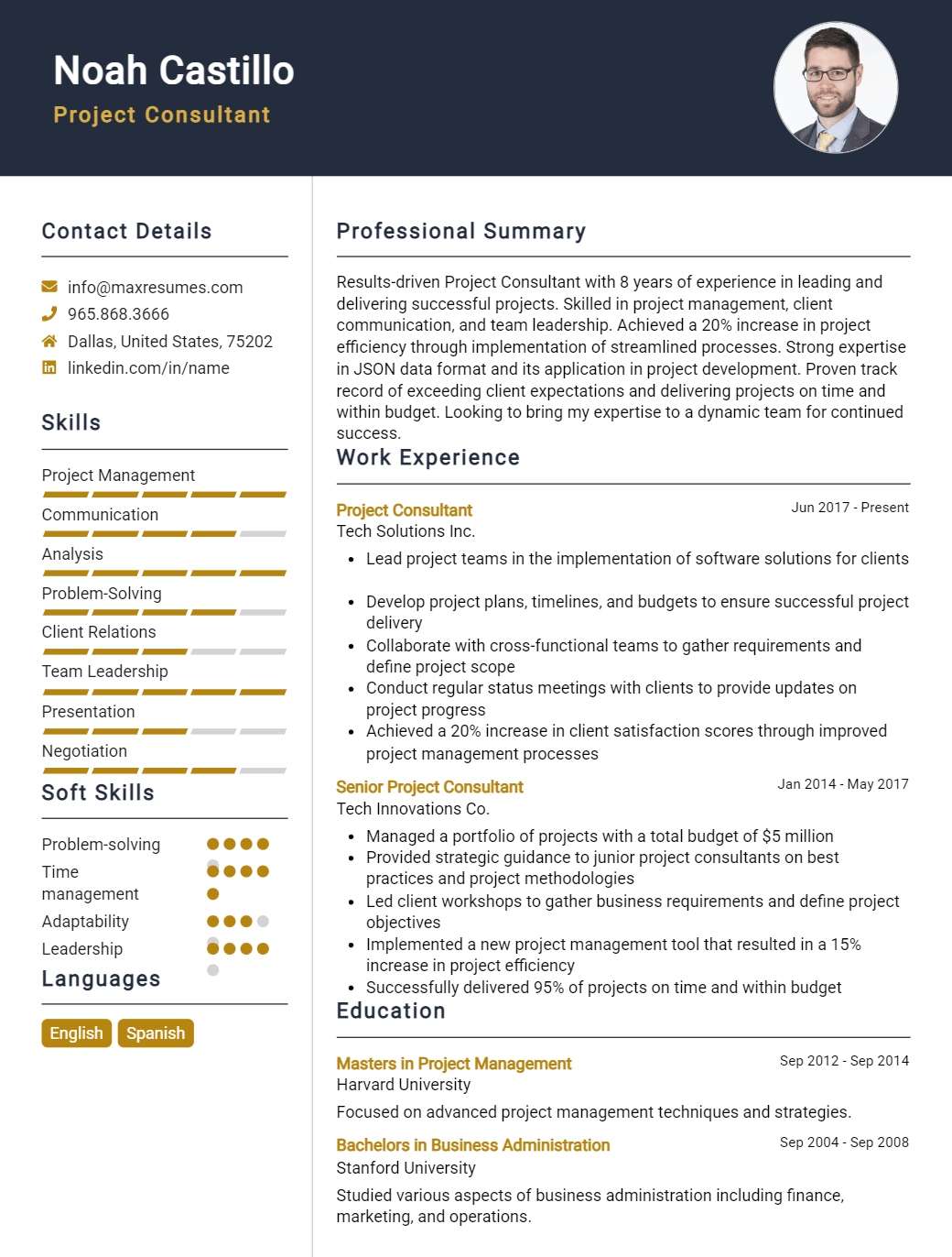 project-consultant-resume-sample