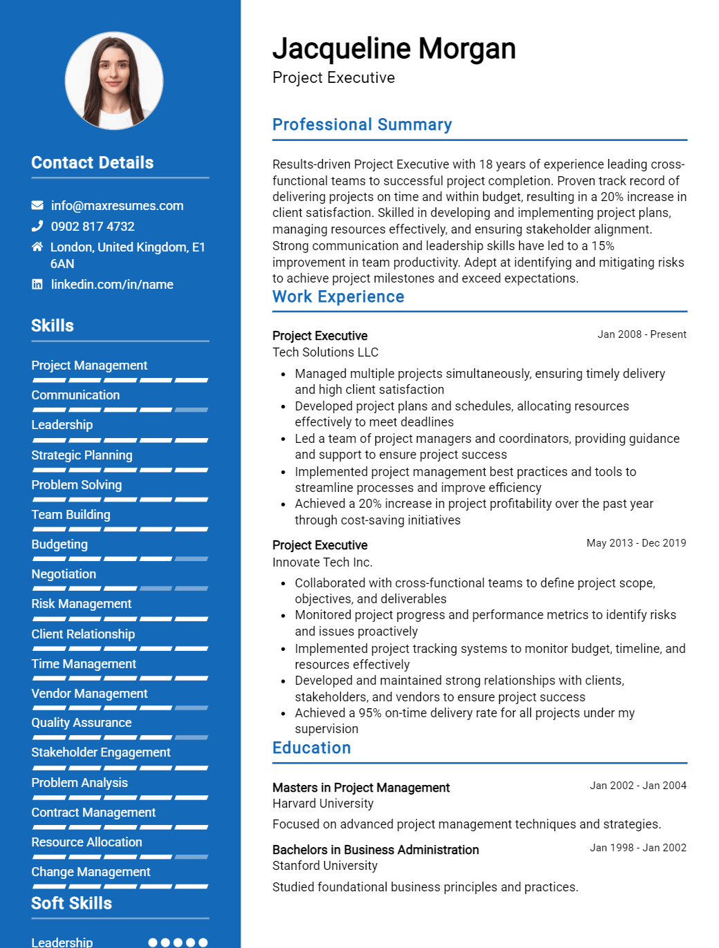 project-executive-resume-sample