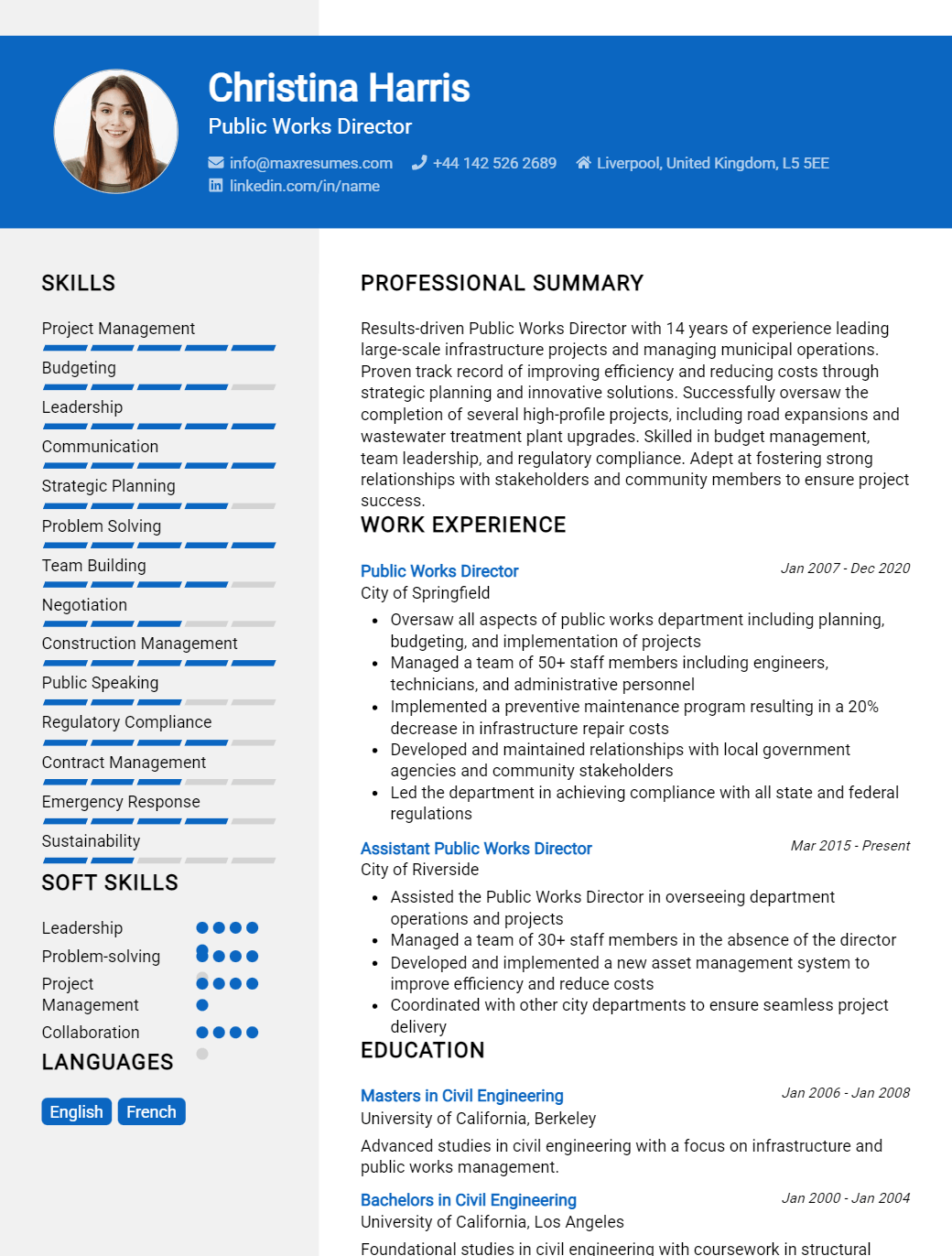 public-works-director-resume-sample