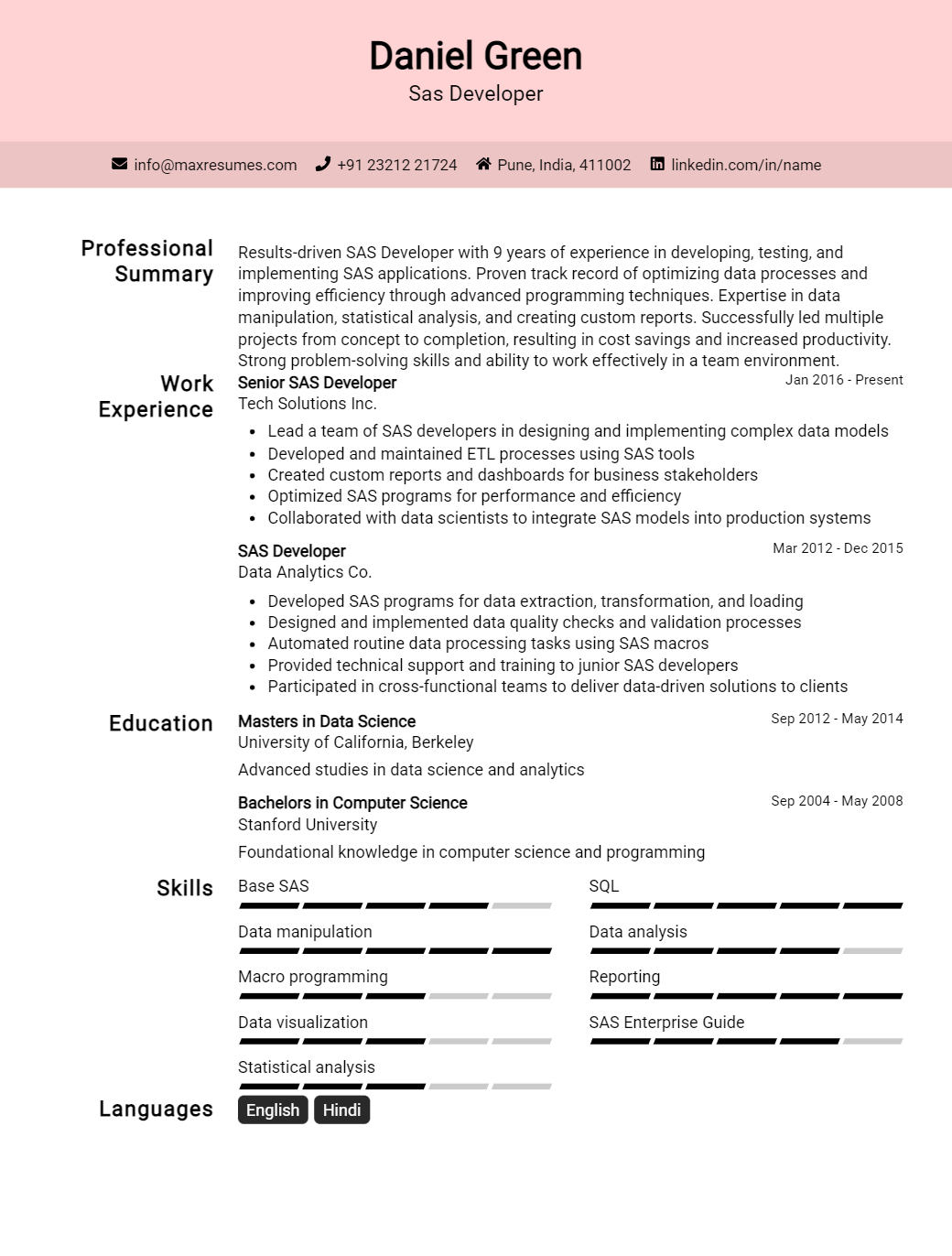 sas-developer-resume-sample
