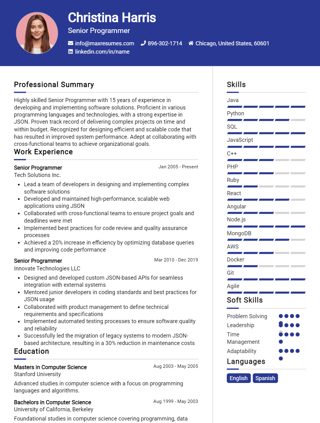 senior-programmer-resume-sample