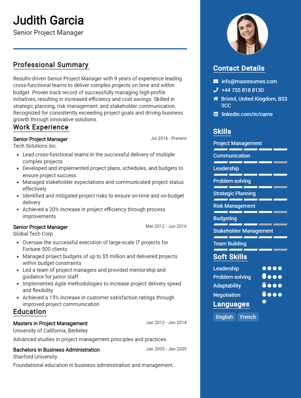 senior-project-manager-resume-sample