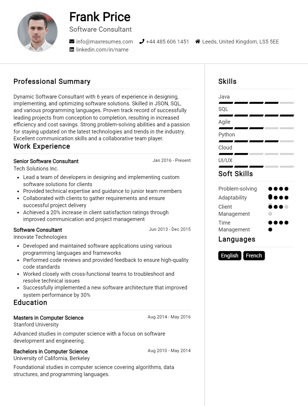 software-consultant-resume-sample