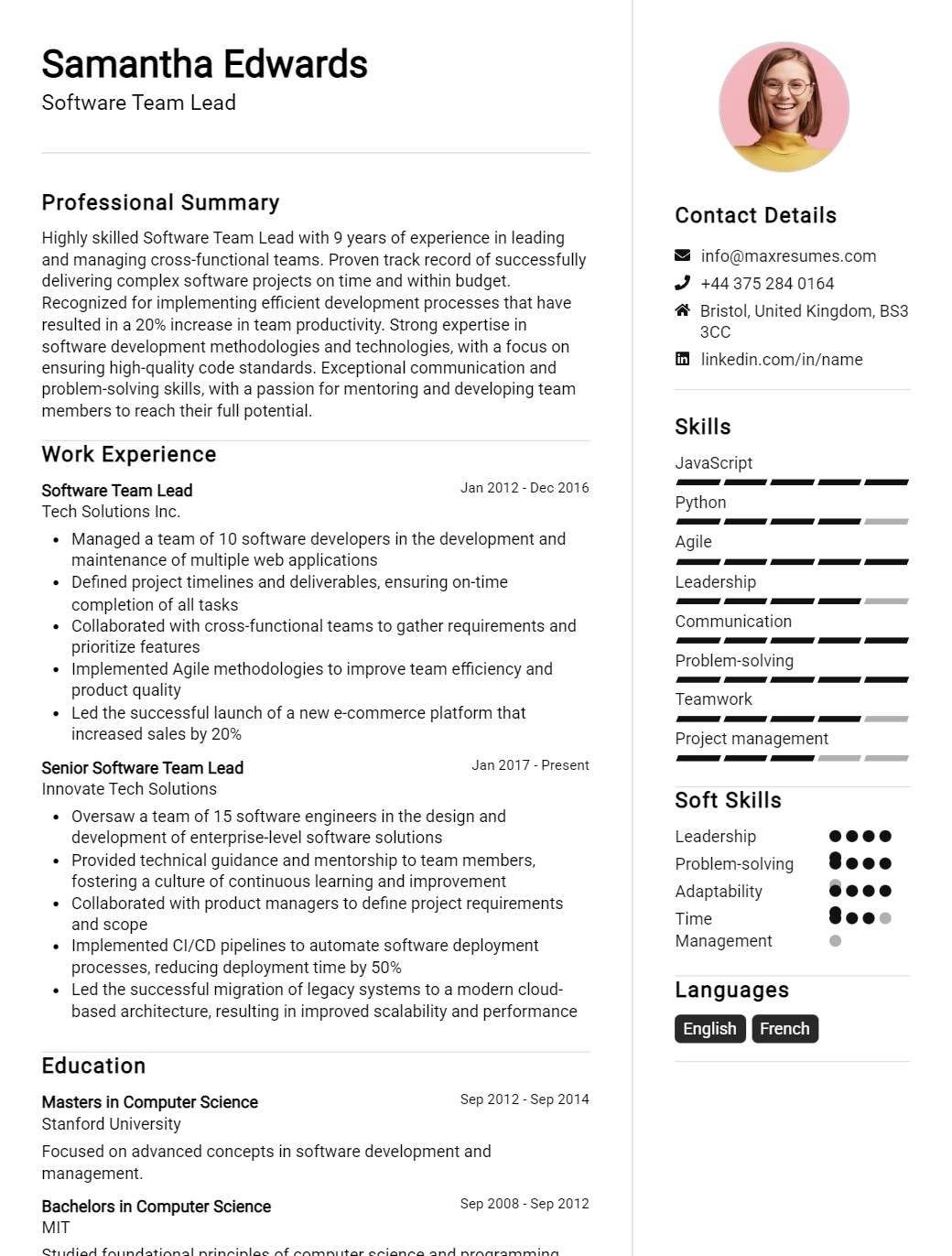 software-team-lead-resume-sample