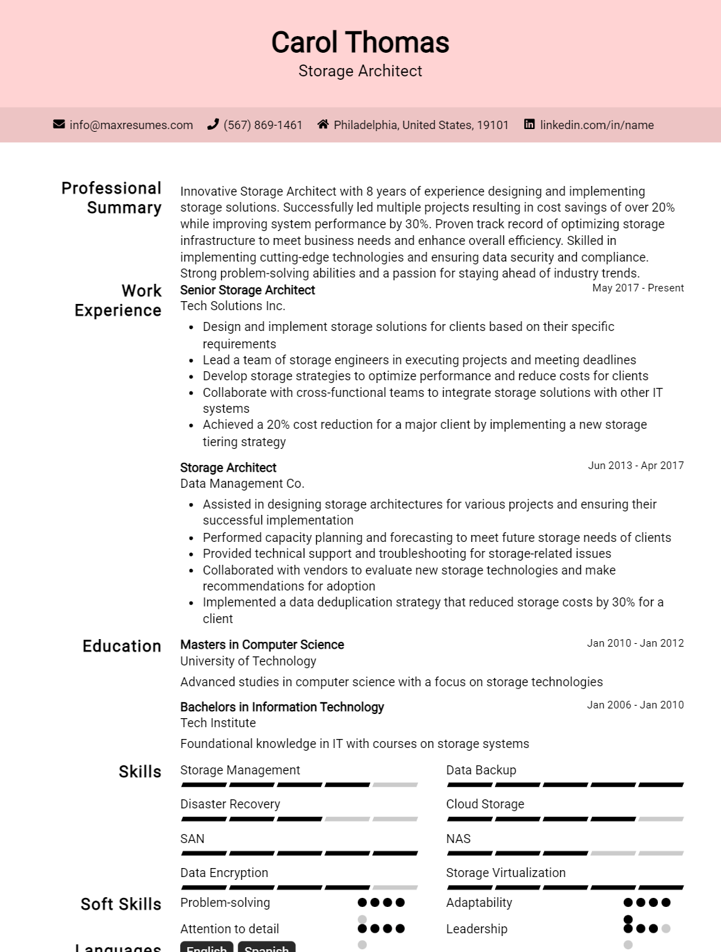 storage-architect-resume-sample