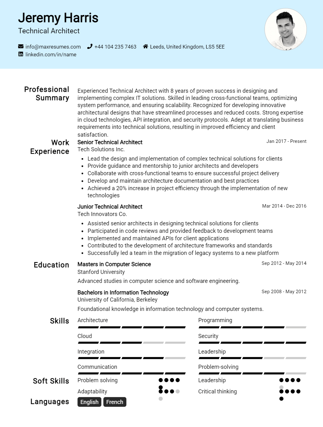 technical-architect-resume-sample