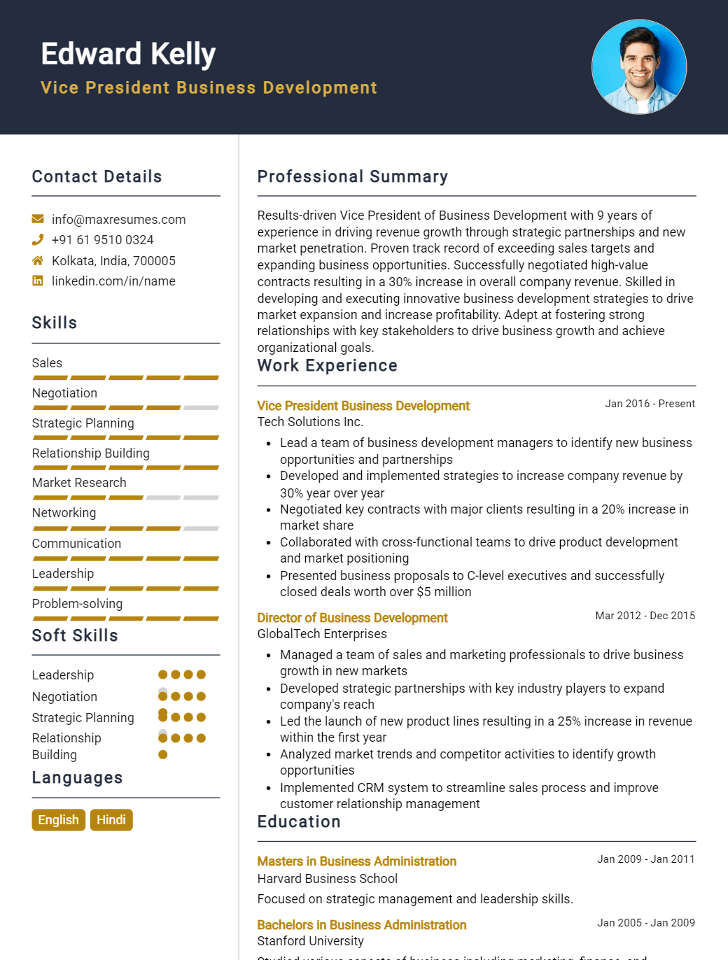 vice-president-business-development-resume-sample
