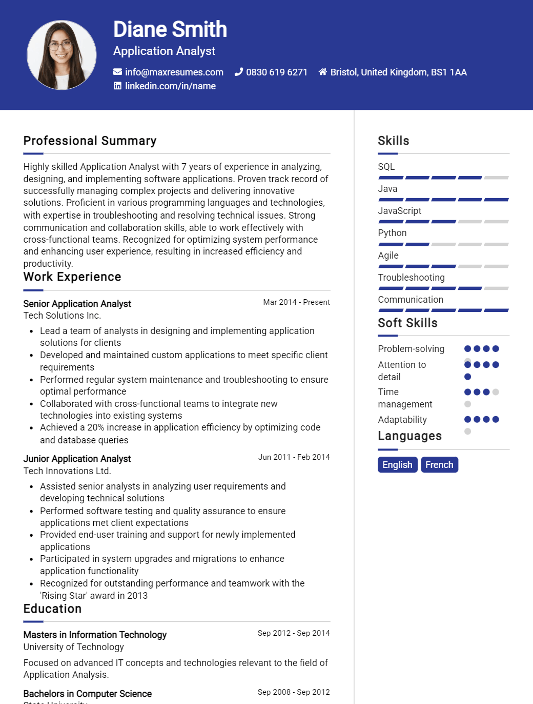 application-analyst-resume-sample