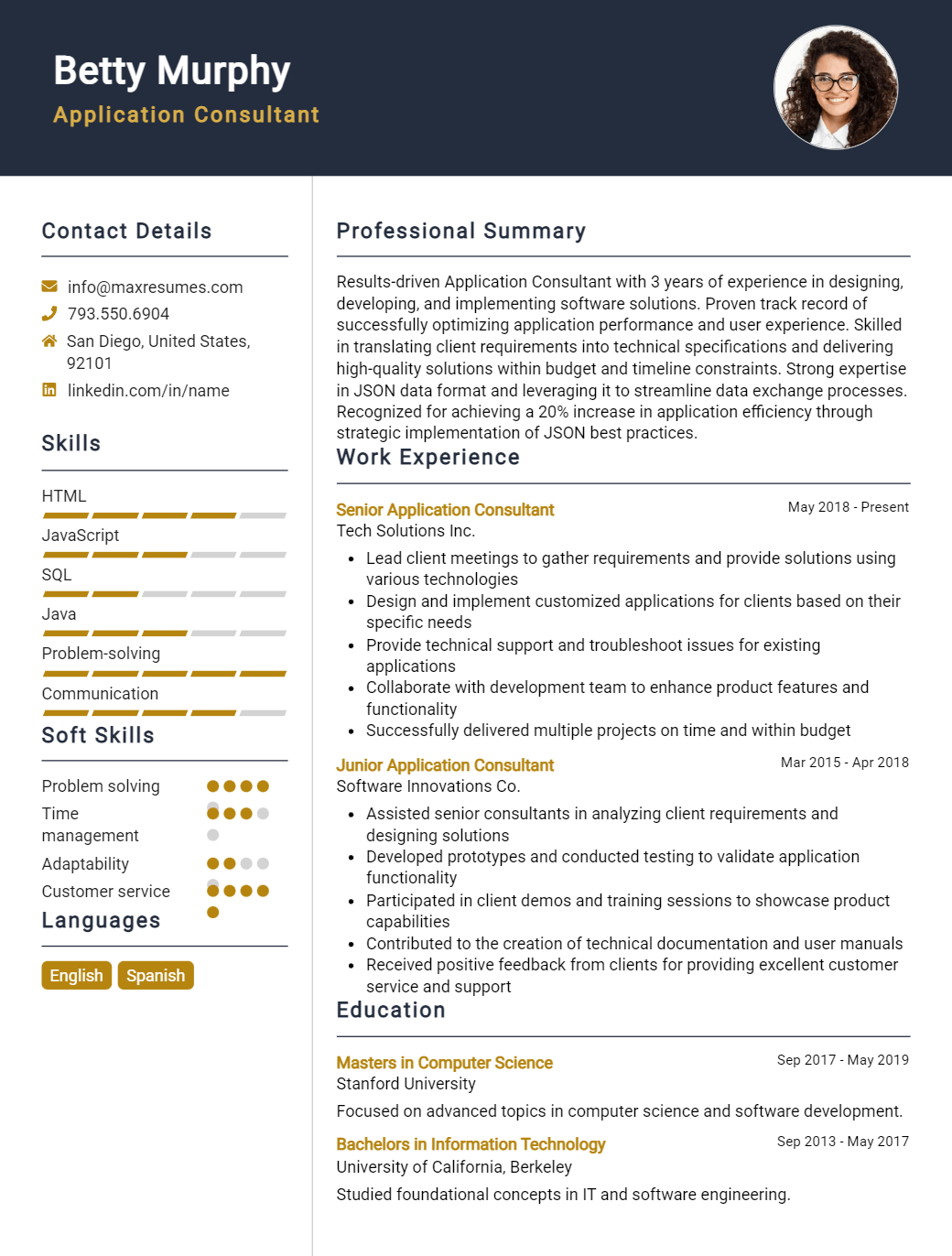 application-consultant-resume-sample