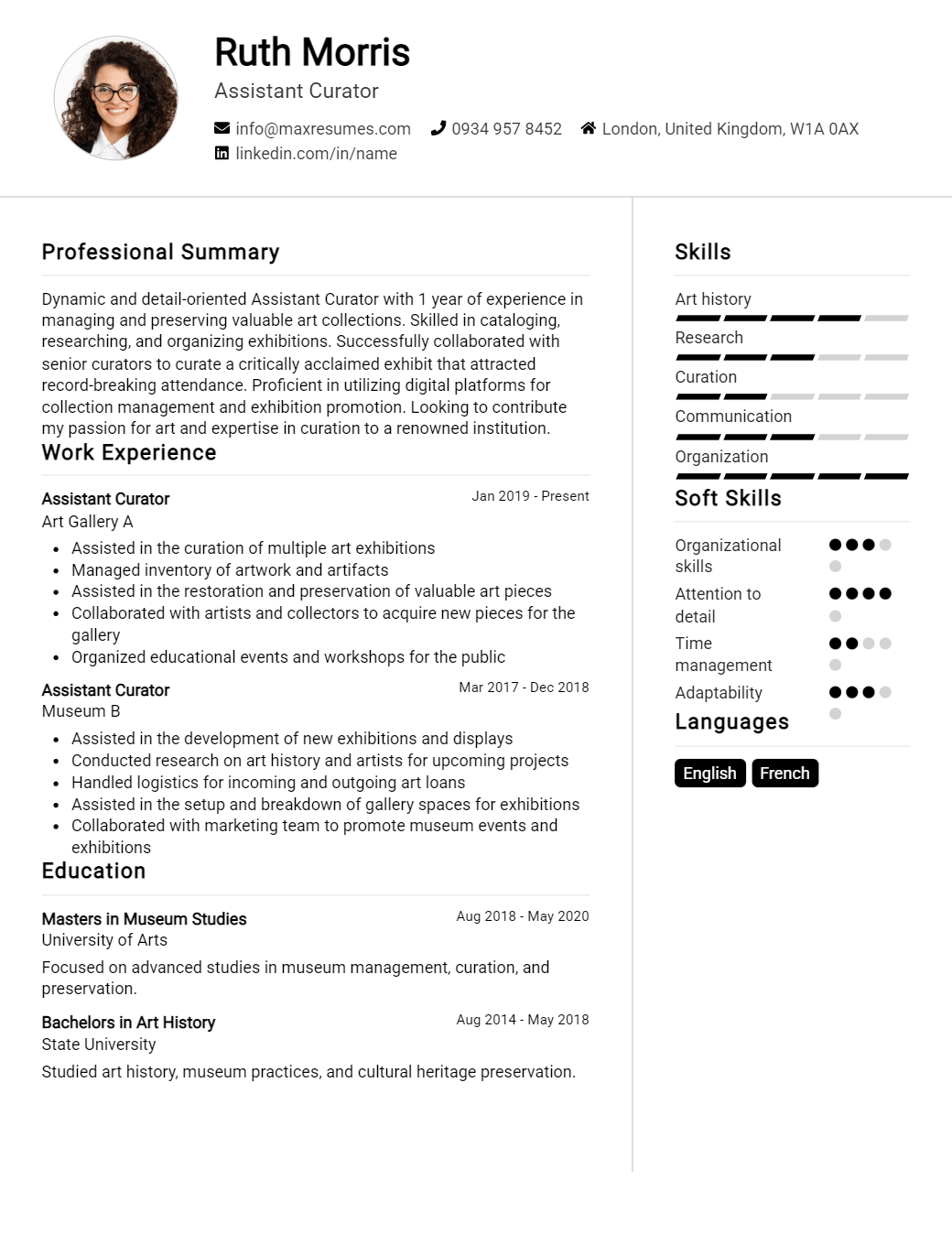 assistant-curator-resume-sample