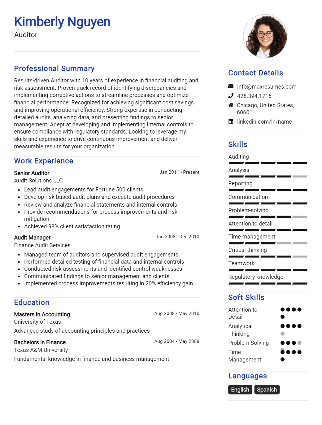 auditor-resume-sample