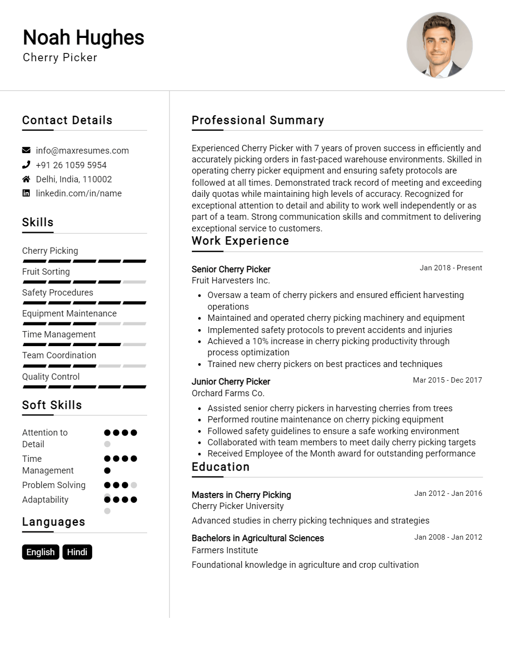 cherry-picker-resume-sample