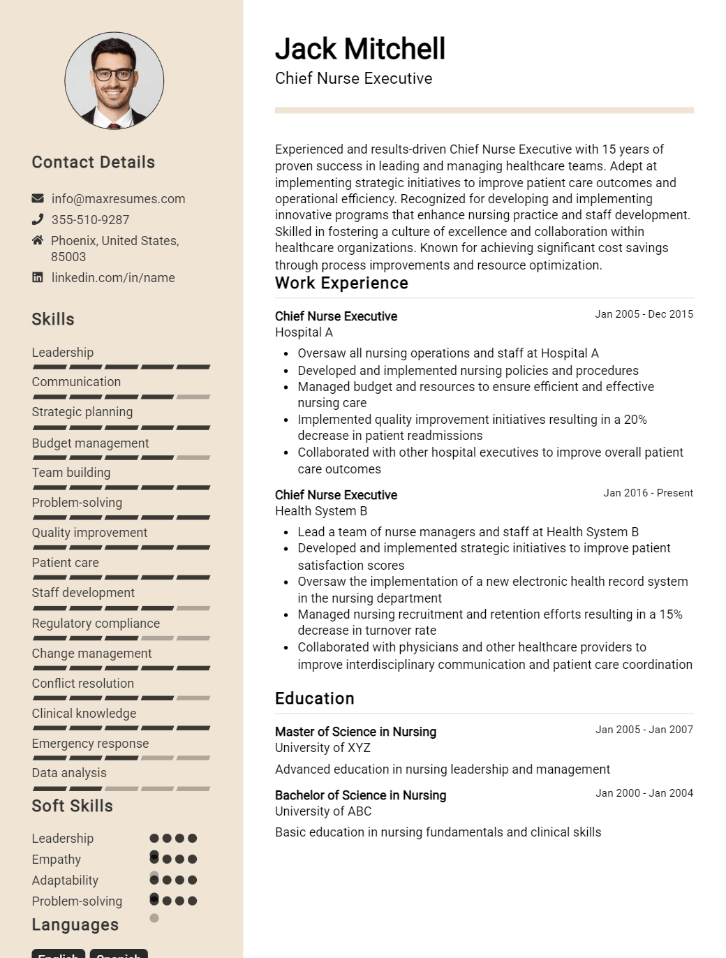 chief-nurse-executive-resume-sample