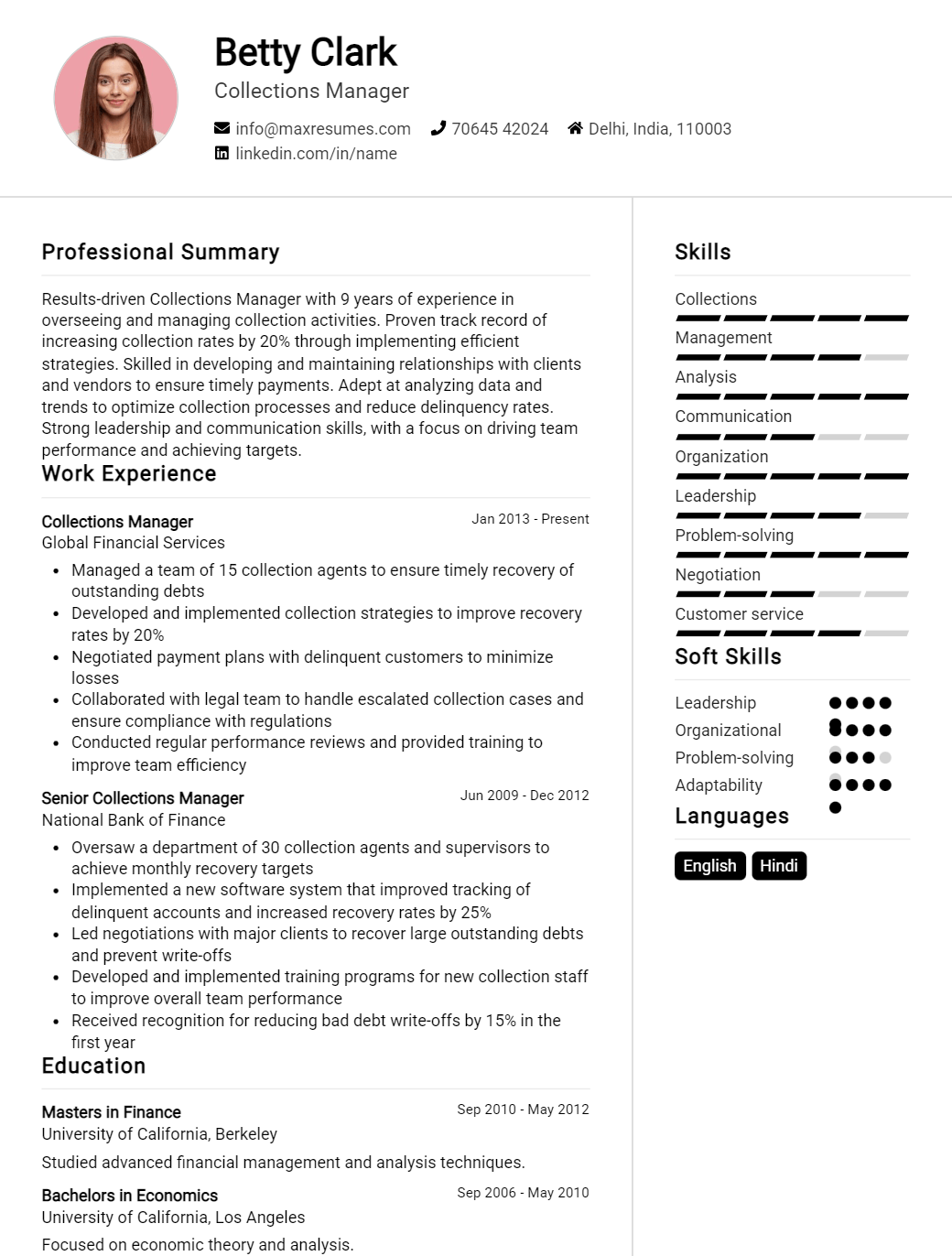 collections-manager-resume-sample