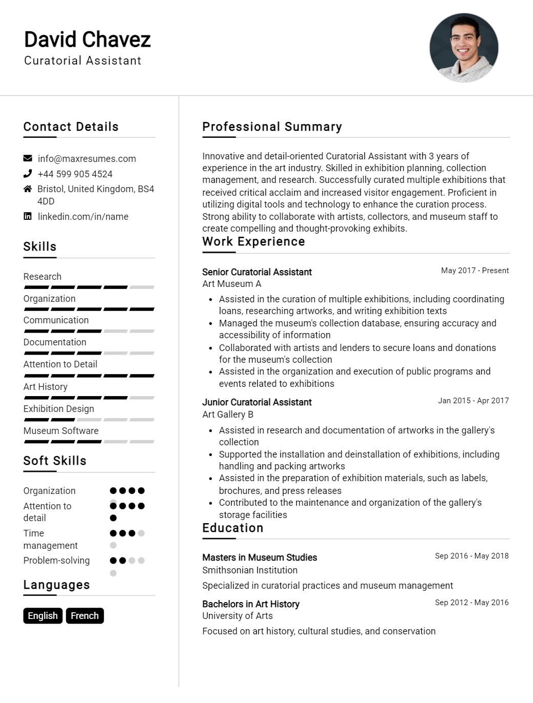 curatorial-assistant-resume-sample