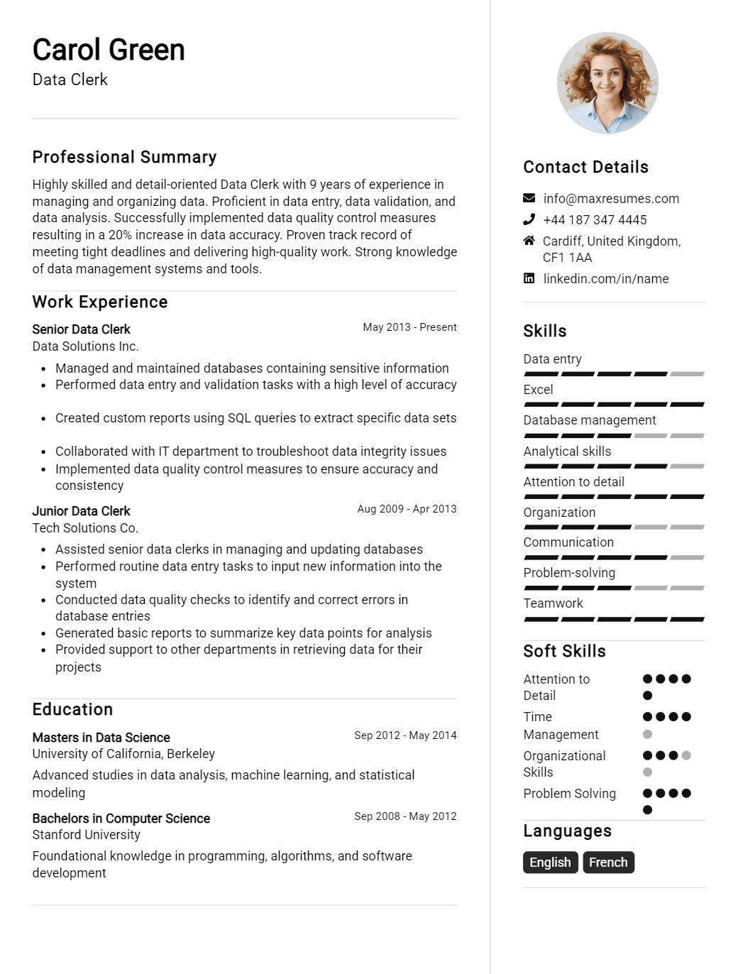 data-clerk-resume-sample
