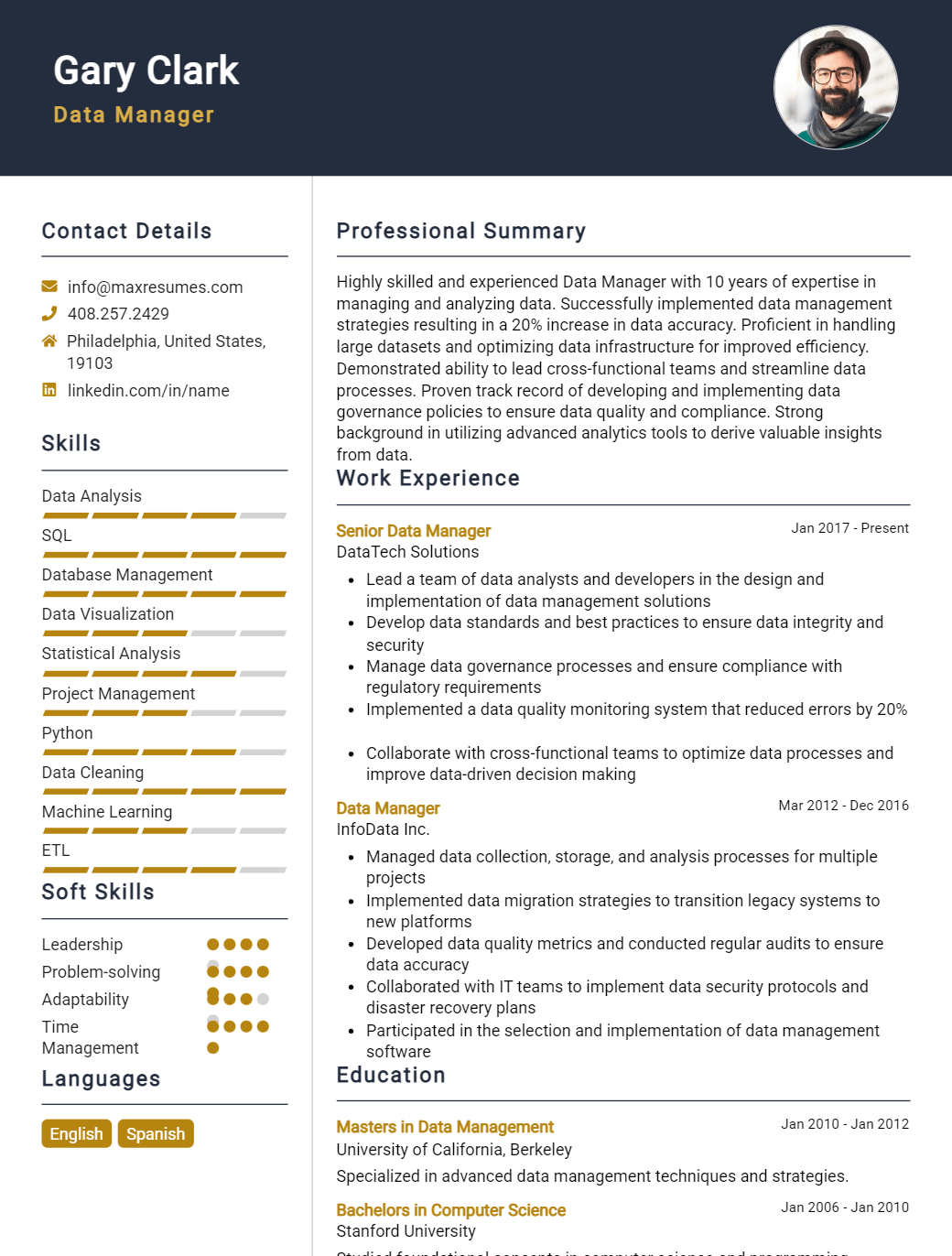 data-manager-resume-sample