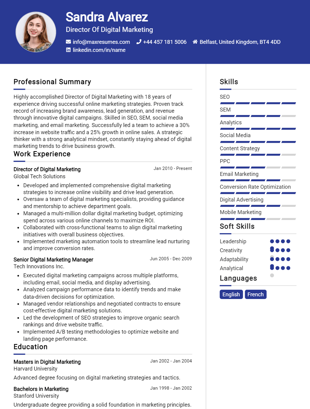 director-of-digital-marketing-resume-sample