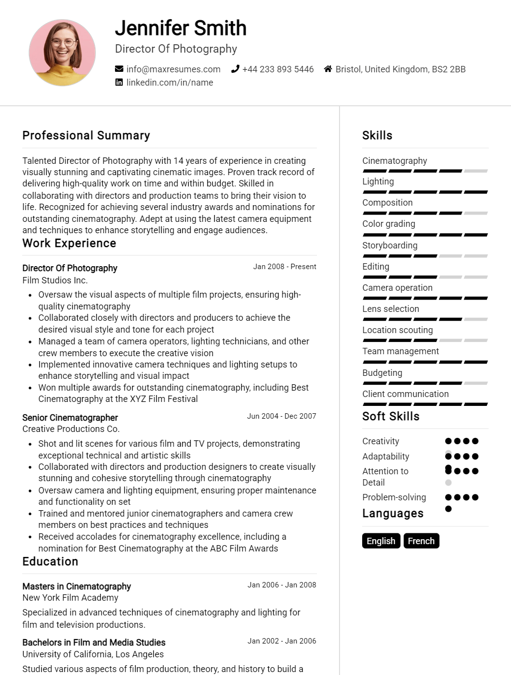 director-resume-sample