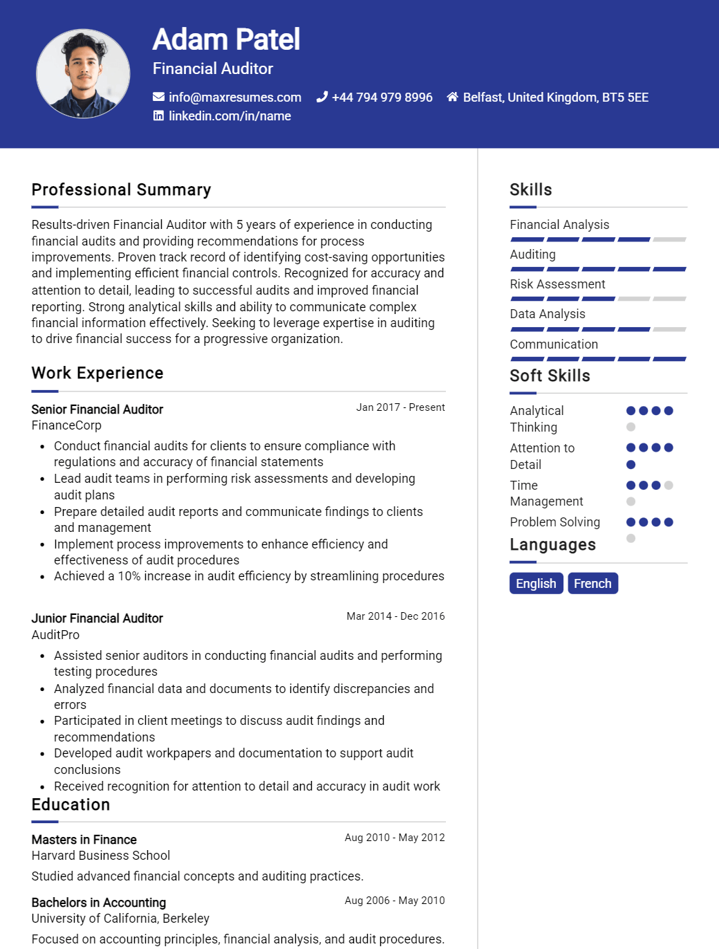 financial-auditor-resume-sample