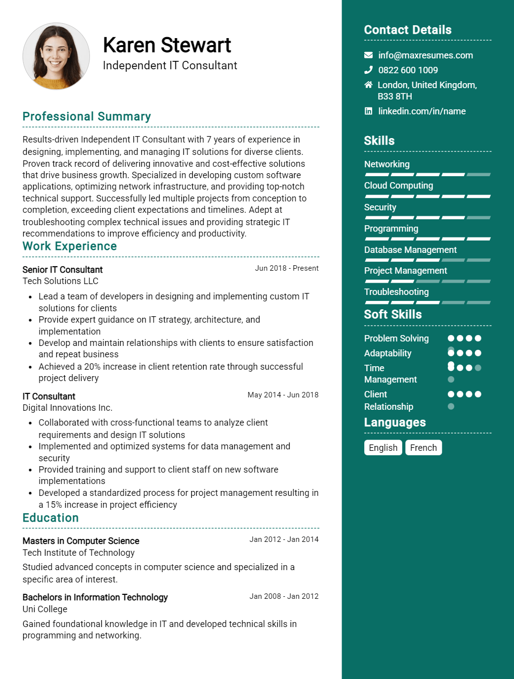 independent-it-consultant-resume-sample