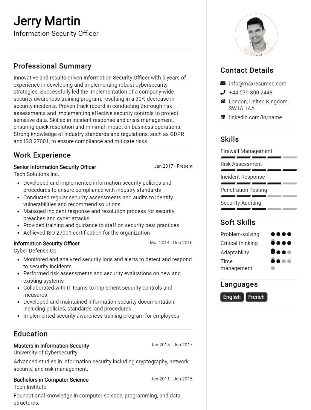 information-security-officer-resume-sample