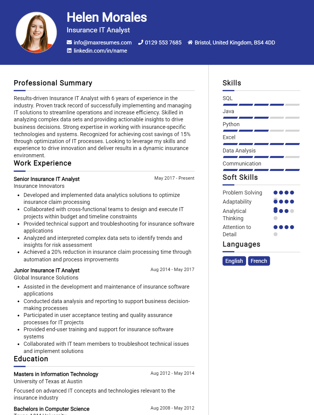 it-analyst-resume-sample