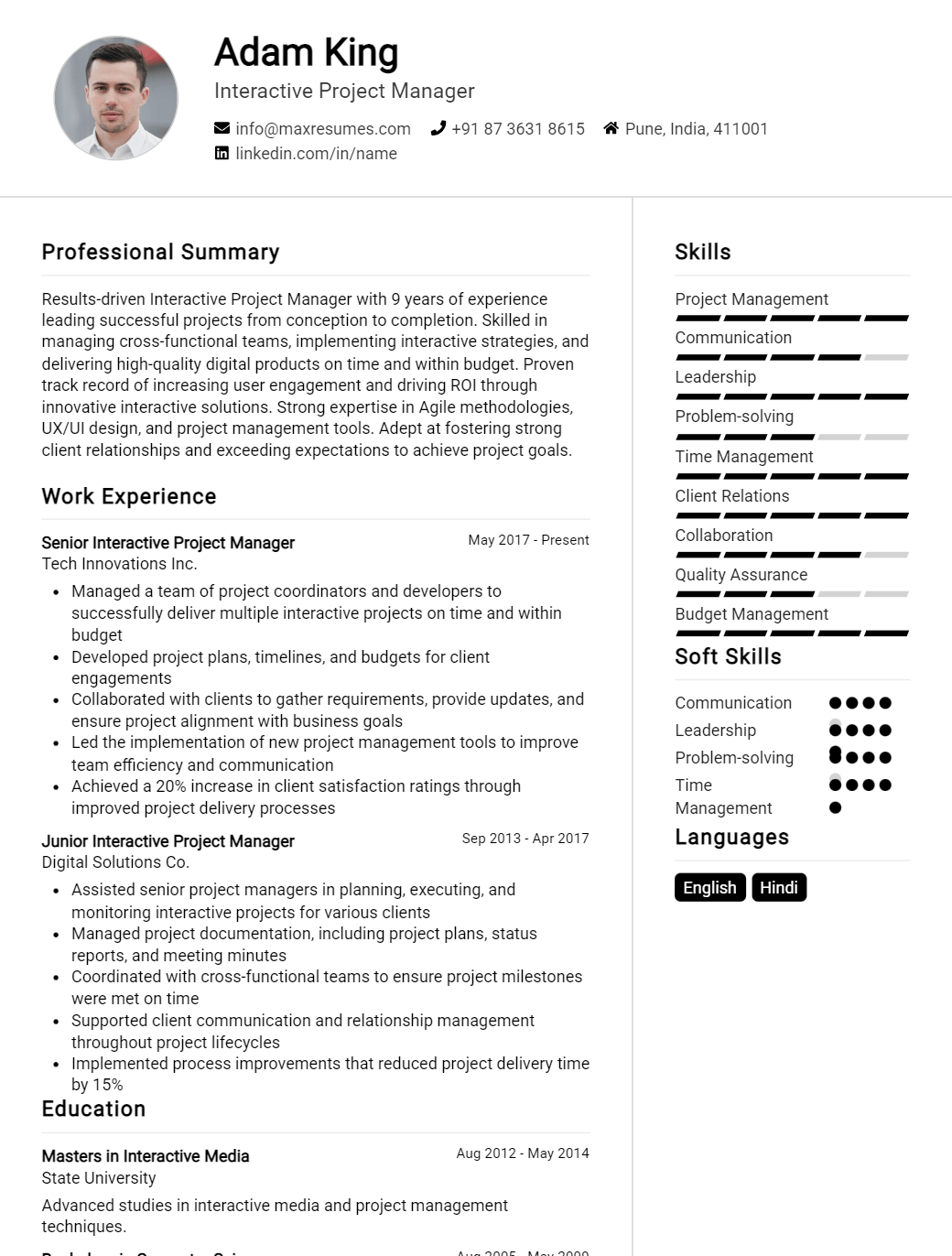 interactive-project-manager-resume-sample