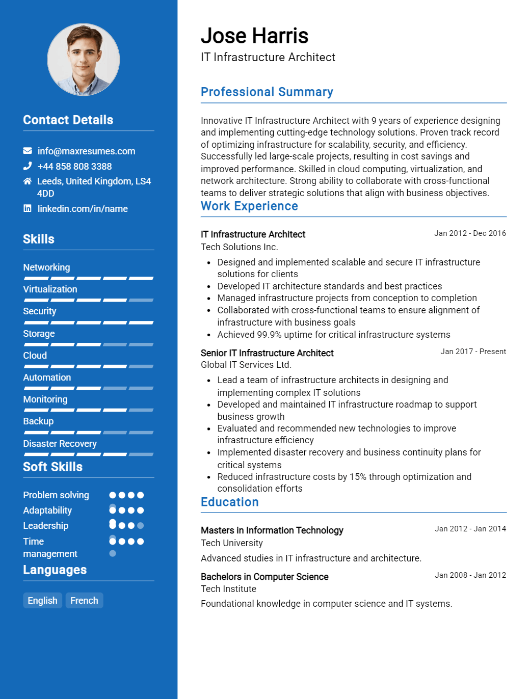 infrastructure-architect-resume-sample