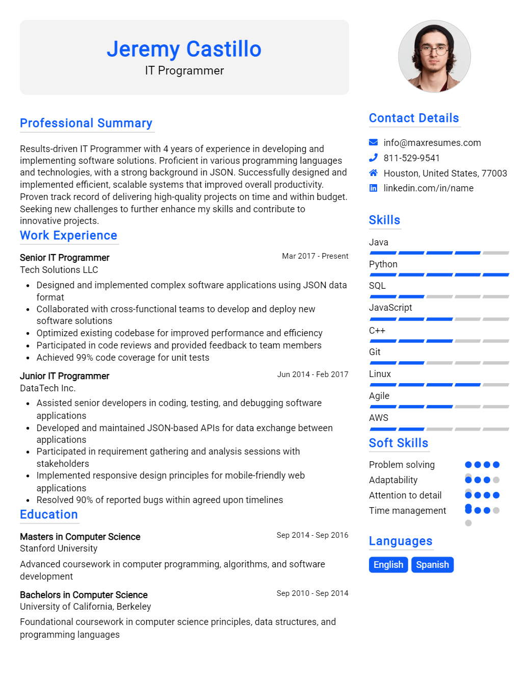 programmer-resume-sample