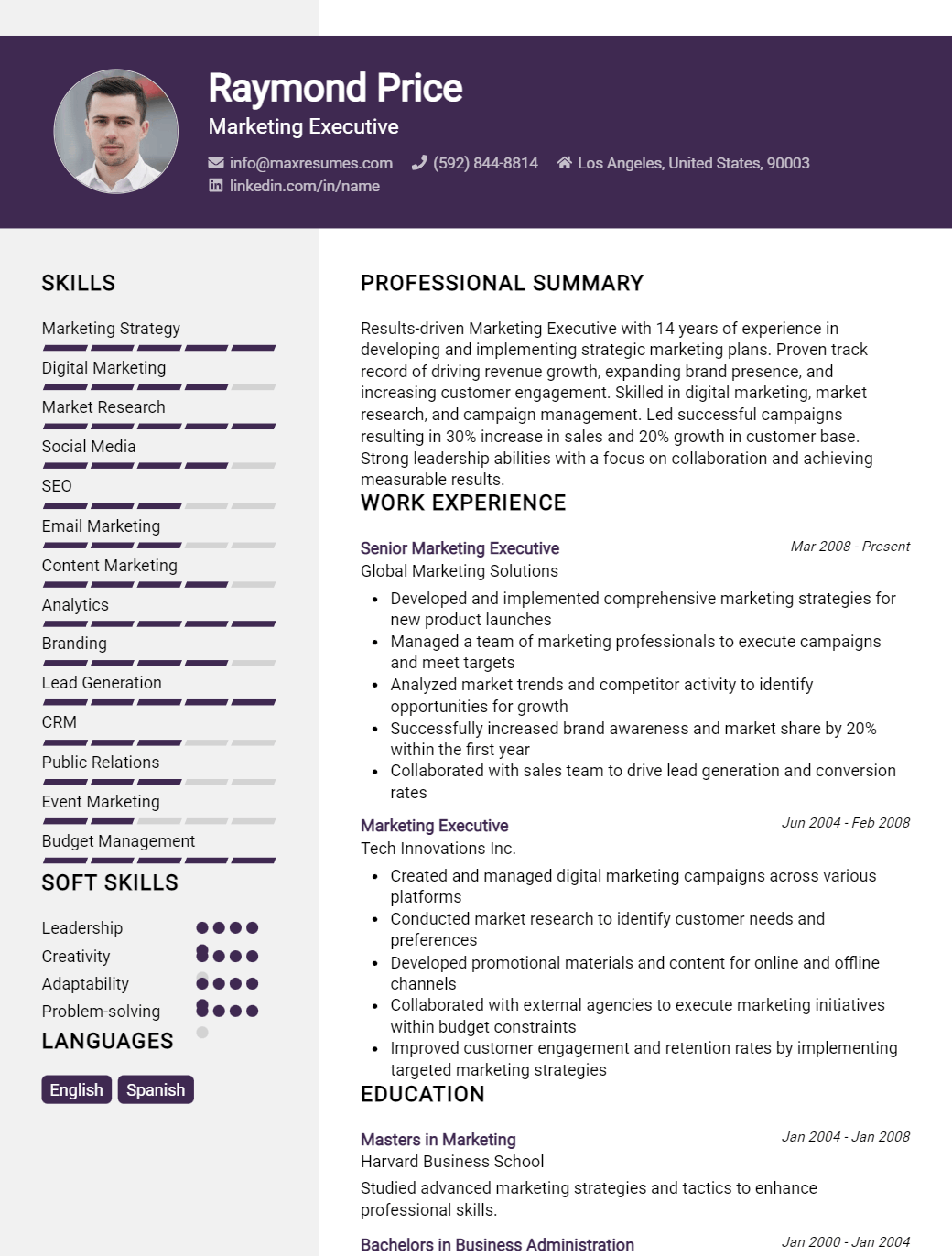 executive-resume-sample
