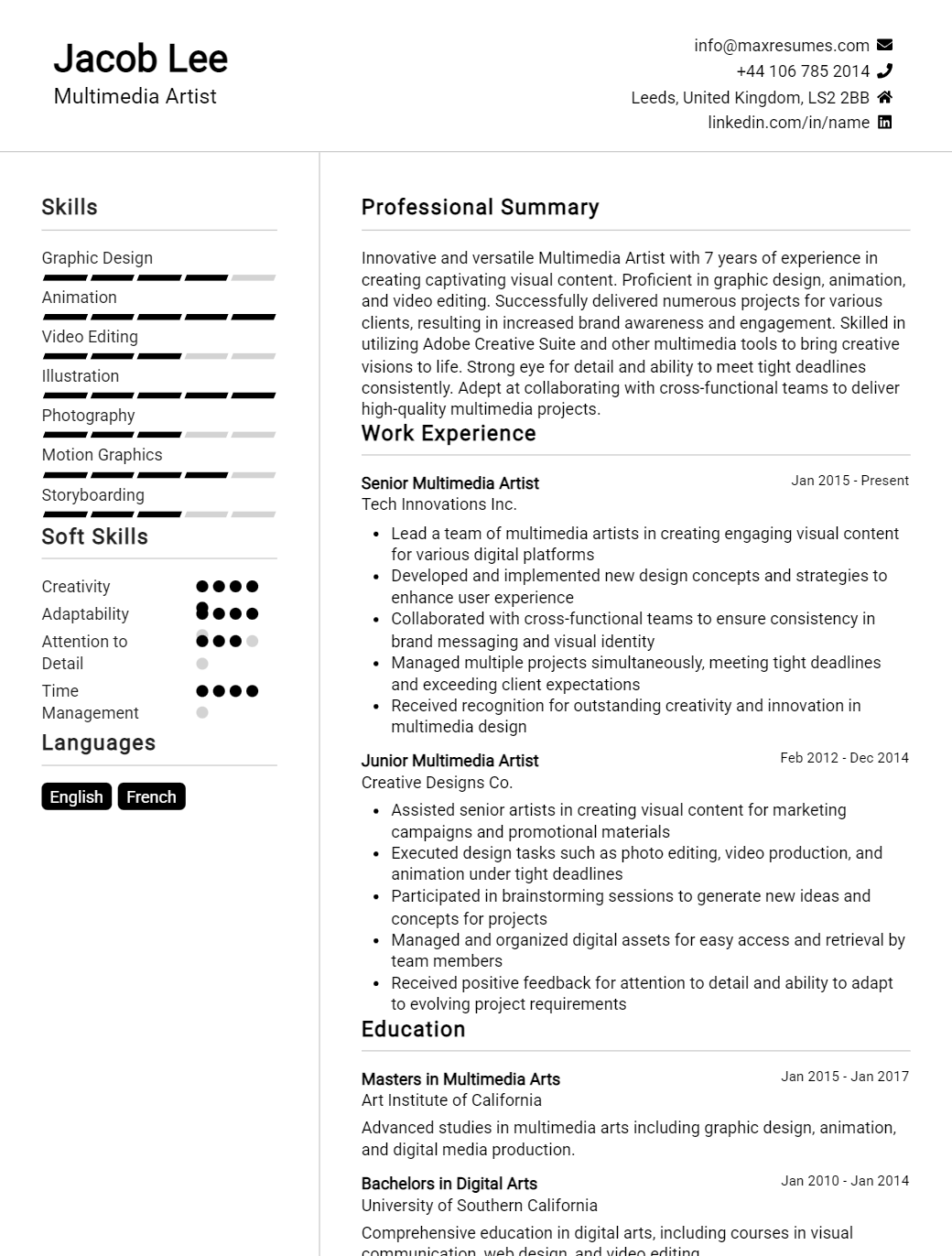 multimedia-artist-resume-sample