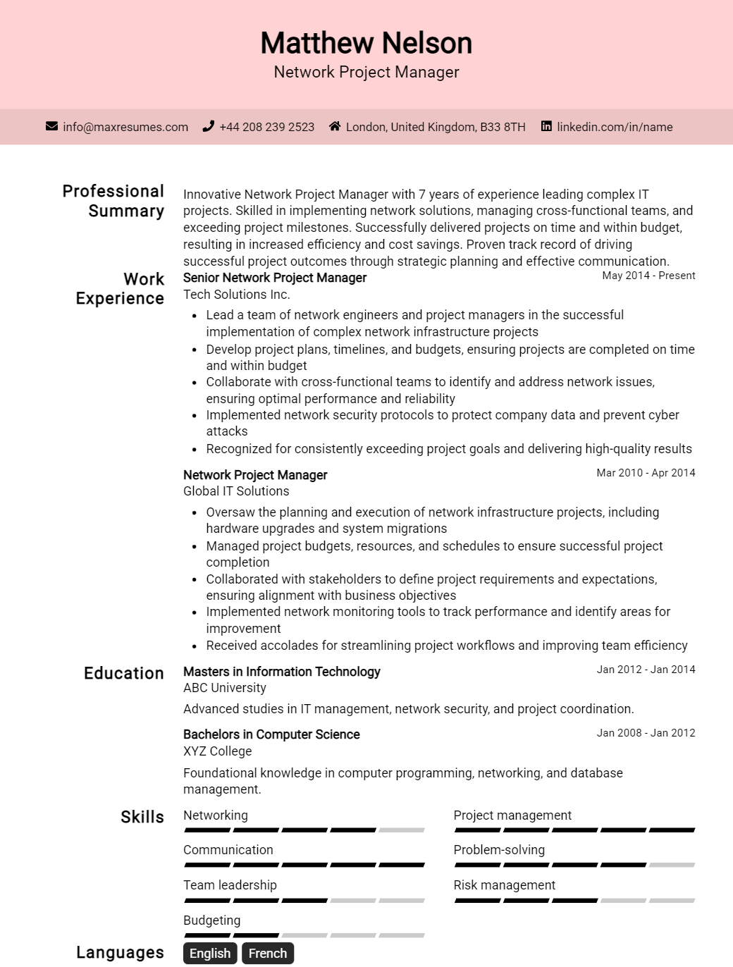 network-project-manager-resume-sample