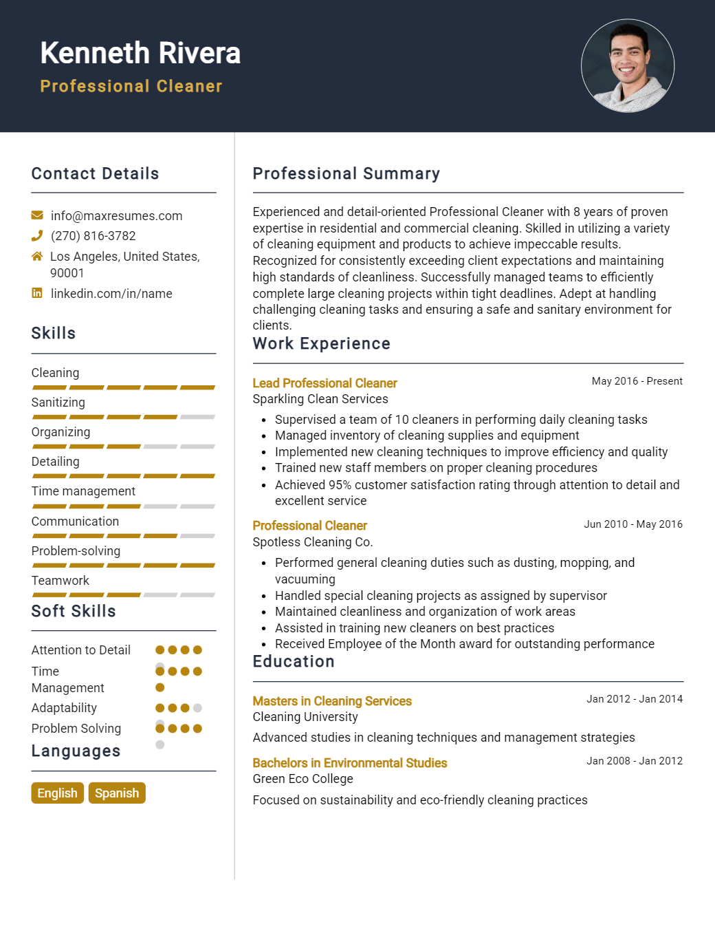 professional-cleaner-resume-sample